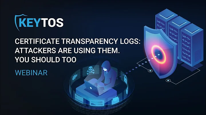 Certificate Transparency Logs: Attackers are using them, you should too!