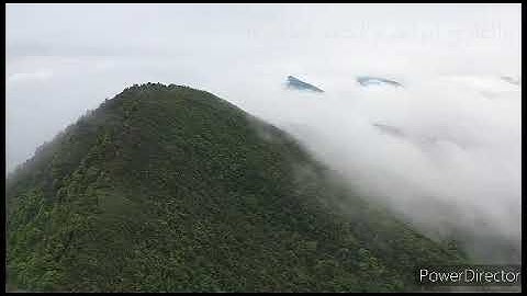 سورة النجم كاملة