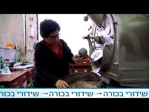 וִידֵאוֹ: איך להיכנס לחיילי הנחיתה