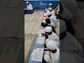 تعلیم کا خوبصورت منظر مدرسہ باب العلوم نیو برج پوری دہلی   