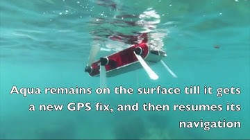 Multi-Domain Monitoring of Marine Environments using a Heterogeneous Robot Team