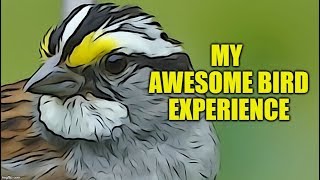 My AWESOME Bird Experience With Whitethroated Sparrows