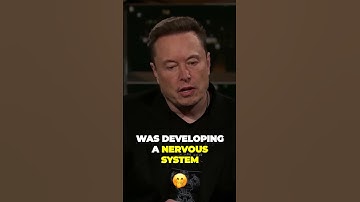 The Internet Revolution Humanitys Global Nervous System Unleashed #discipline #shorts  #elonmusk