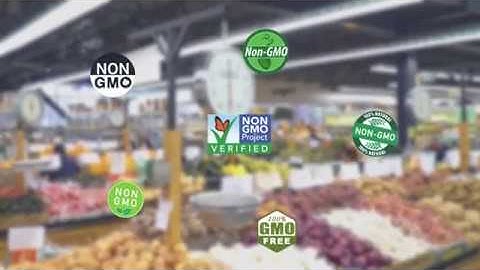 Non-GMO Project Verification with SCS Global Services