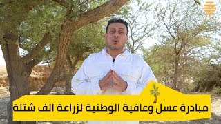 مبادرة عسل وعافية الوطنية لزراعة الف شتلة فى كل أودية المملكة??  ح 3