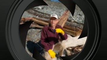 Curb Your Driftwood - Larry David Beachcombs for Cedar