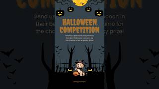 Dm Us To Be In For The Chance To Win A Free Upgrade To A Spooky Signature Spa With Your Next Groom🎃