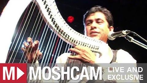 Thumbnail of Los Lobos - La Bamba (Richie Valens) | Live in Sydney | Moshcam