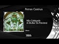 Petrus Castrus Não Cobiçarás A Mulher Do Próximo Petrus Castrus Não Cobiçarás A Mulher Do Próximo