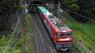 昭和の日朝の貨物列車　稲城市竪谷戸大橋　2021/04/29