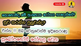 Next-Gen German Physiotherapy Care in Sri Lanka | Advanced Rehabilitation Center