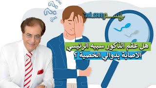 هل عقم الذكور سببه الرئيسي الاصابة بدوالي الخصية ؟ البروفيسور سمير السامرائي