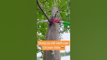 Cắt tỉa cây trên cao  không cần LEO TRÈO #keocatcanh #cattiacay #dogiadungthongminh