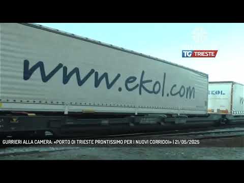 GURRIERI ALLA CAMERA: «PORTO DI TRIESTE PRONTISSIMO PER I NUOVI CORRIDOI» | 21/05/2025