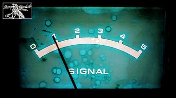 Mosquito Cheetah - Start the Processing (Official Video)