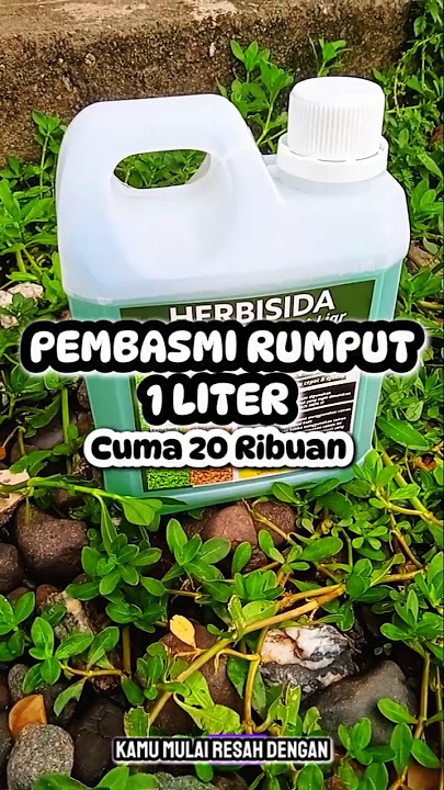 Pembasmi Rumput Liar #shortsvideo #shortvideo #shorts #pembasmirumput #herbisida