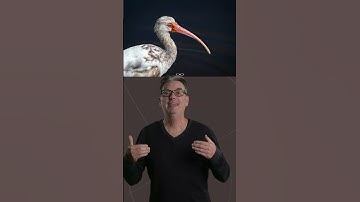 Can you see the mistakes I made in this photo?