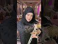 لولا كاب شيفون في جنجاه عرباوي فري سايز اكسبلور ليلي ابراهيم