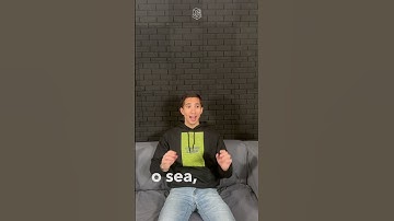 Crea una app móvil sin programar: Introducción a Flutter Flow