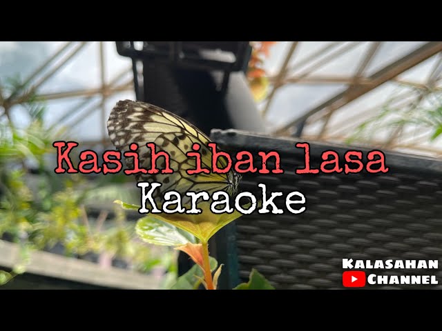 Kasih Iban Lasa | KARAOKE class=