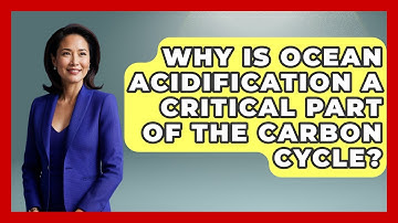 Why Is Ocean Acidification A Critical Part Of The Carbon Cycle? - Explaining Ecology