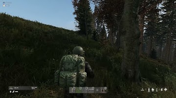 Dayz 1.13 Killed by Hacker in Official