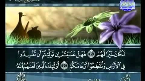 ختمة الشيخ سعد الغامدي 47 سورة محمد