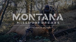 2025 Missouri Breaks Elk Hunt An Unforgettable Three Days