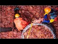 How Fisherman Earn Millions $ from King Crab Catching 🦀 - Inside Modern Crab Processing Factory