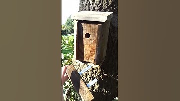 Well hidden Geocache coordinates.