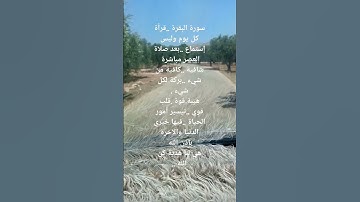 سورة الإسراء الآية (82)