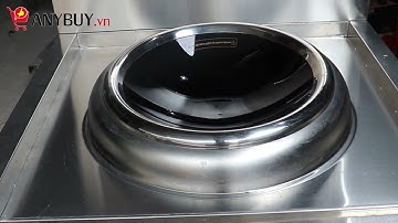 ANYBUY - Bếp từ công nghiệp đơn YS-40XCv2 mặt lõm