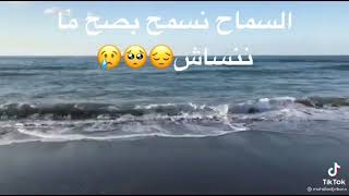 زينة الداودية& قادر الجابوني-نسمح و مننساش