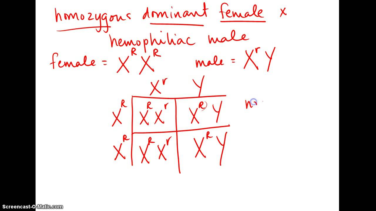amoeba-sisters-multiple-alleles-work-sheet-29-amoeba-sisters-handouts-ideas-handouts