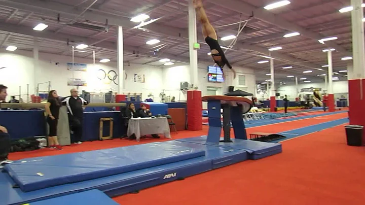 Rachel Baxter 2013 Sectional Vault 9.9-Wildfire Gy...