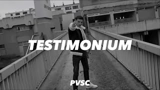 Asche x Kollegah - „Testimonium“ Type Beat | 2023 (prod. by PVSC)