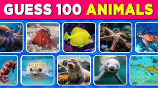 Guess 100 Sea Animals in 3 Seconds 🐬🦑 | Easy, Medium, Hard, Impossible