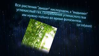 Знаете ли Вы, что..? - Выпуск №10