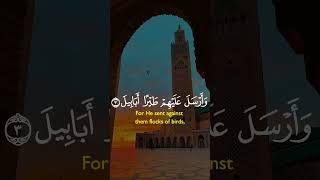 Surat Al-Elephant with the voice of Salah Bu Khater #quran #quranicvoice #qurantranslation #shorts