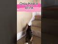 So Funny 30 So Funny 30