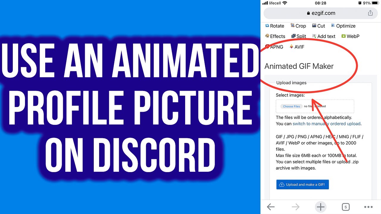 Animated Profile Effects  Discord Nitro Guide 