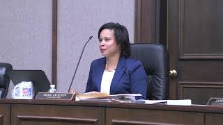Selma City Council work session 03 25 2019