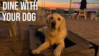 Five Great Places near Destin to Dine With Your Dog // Florida 30A // [EP 96]