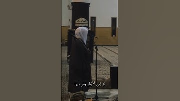 اكتب شيئ تؤجر عليه 🤍 سورة المؤمنون #قرآن#quran#ياسر_الدوسري