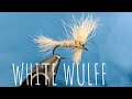 White wulff  mouche sche  truite