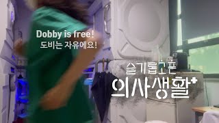 (sub)[Korea Doctor VLOG] #3. Dobby is FREEEE! (for a week only) & record of my recent 2 months