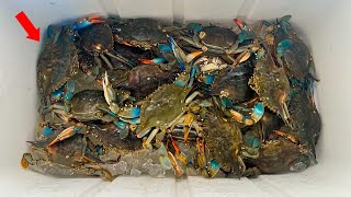 BLUE CRAB ** CATCH CLEAN COOK ** (LIKE YOU'VE NEVER SEEN BEFORE)
