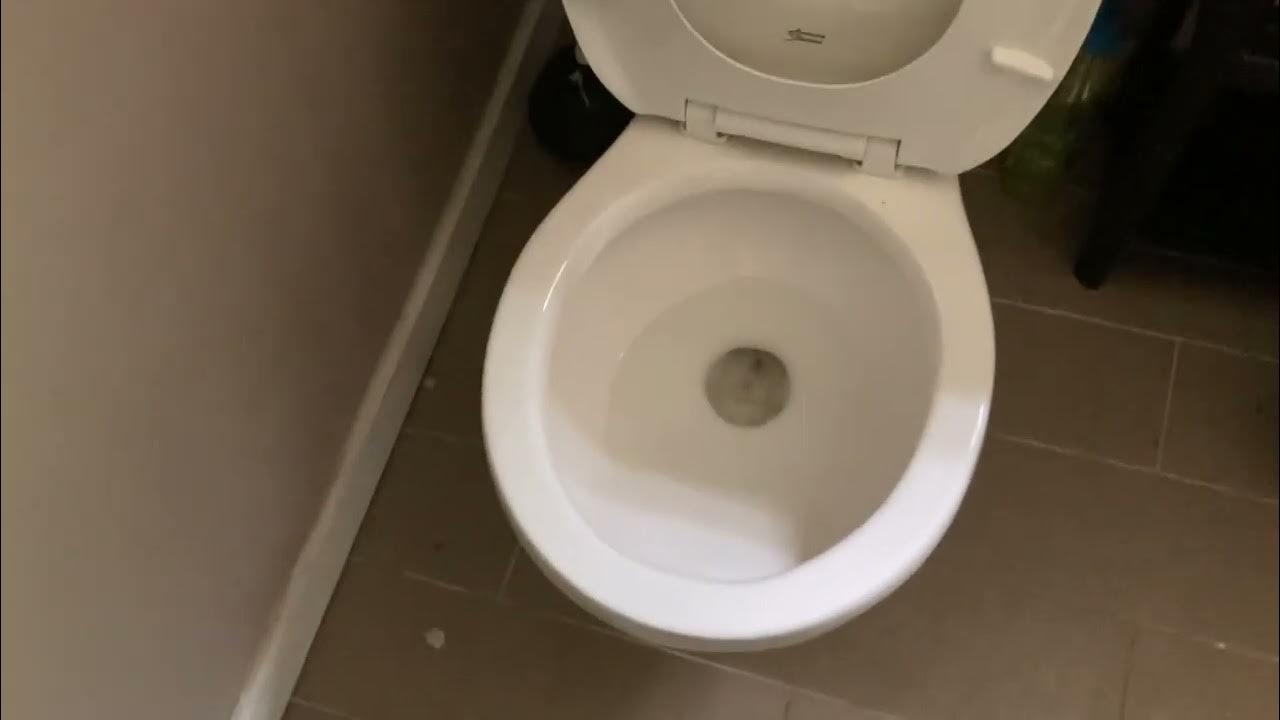 My 1990s American standard Plebe II toilet YouTube