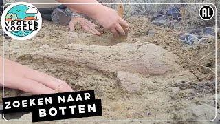 Rockster van de paleontologie vindt triceratops | Radio | Vroege Vogels