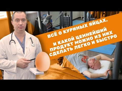 Куриные яйца: пищевая ценность и польза для здоровья